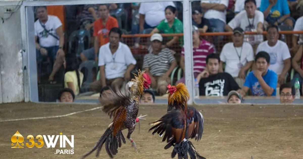 Đá Gà Cựa Dao - Hướng Dẫn Đặt Cược Và Cách Soi Kèo 3 Nạp tiền vào tài khoản