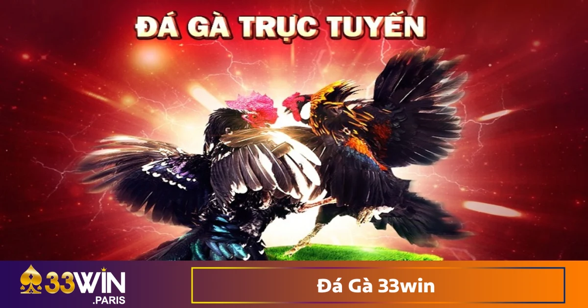 Các trường gà nổi tiếng: Thomo, Philippin, Campuchia