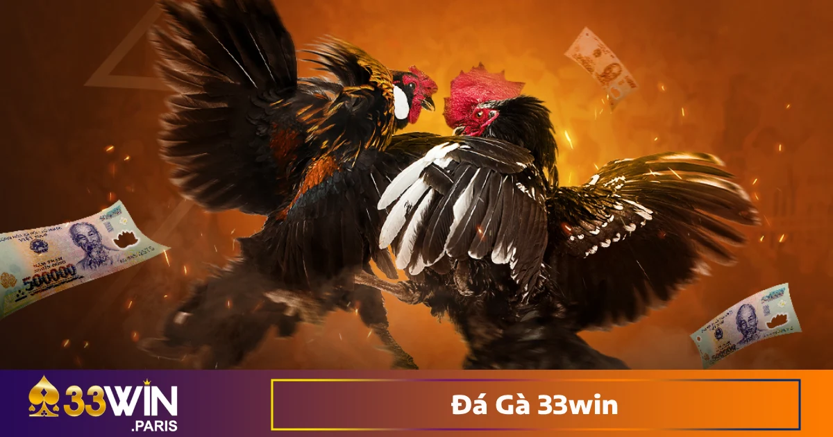 Cách Đặt Cược & Dự Đoán Trận Đấu Đá Gà Tại 33win